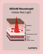 Red Light Therapy Mat for Dogs & Cats — Lumera Revival Mat