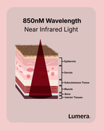 Red Light Therapy Mat for Dogs & Cats — Lumera Revival Mat