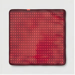 Red Light Therapy Mat for Dogs & Cats — Lumera Revival Mat